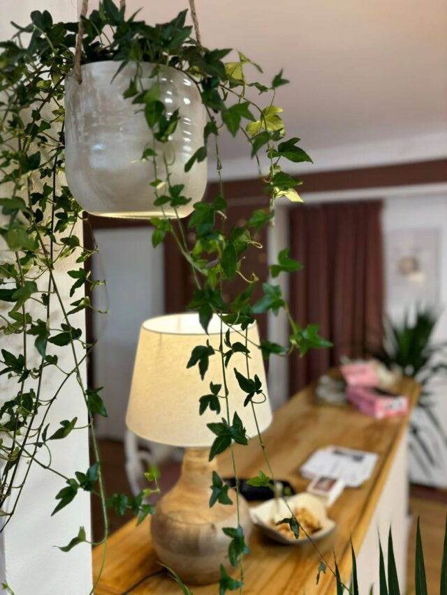 Uusiutunut käytäntömme Hair Spa- varausten suhteen!🌸Kun varaat ajan nettiajanvarauksessa Kirkkotorille, aika voi olla joko Elizan tiloissa tai Hair Spa:ssa.🌸Liikkeessä on kaksi ovea - toisen yläpuolella on musta Eliza- kyltti. Voit tulla siitä ovesta sisään, jos olet epävarma, kummalle puolelle varauksesi sijoittuu. Opastamme sinut tarvittaessa oikeaan paikkaan.🌸Eliza Hair Span erikoispalvelut ovat varattavissa kategoriasta "Eliza Hair Spa palvelut"🌸Jos toivot muuta palvelua Hair Spa- puolelle, soitathan 0442463989Vi har uppdaterat hur våra Hair Spa- bokningar fungerar!🌸Då du bokar tid via nätbokningen till Kyrkotorget, kan tiden vara antingen på Eliza eller Hair Spa - sidan.🌸Huset har två dörrar, och överom ena dörren finns det en svart skylt där det står "Eliza". Om du är osäker var din tid är kan du komma in genom den dörren, så guidar vi dig vid behov till rätt plats.🌸Eliza Hair Spa specialiteter finns att boka under "Eliza Hair Spa palvelut"🌸Om du önskar att boka en annan tjänst  till Hair Spa, vänligen ring oss på förhand till numret 0442463989#vanhaporvoo #elizaporvoo #visitporvoo #kampaamoporvoo #frisörborgå #elizakirkkotori